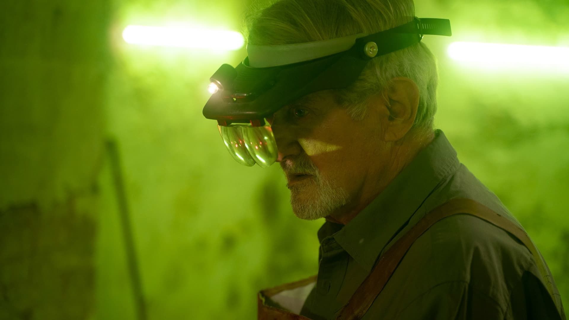 The Goldsmith (L'orafo)