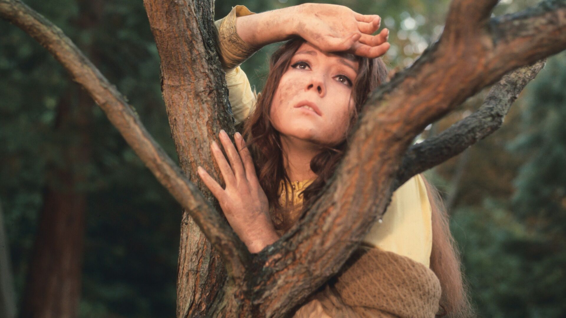 A Midsummer Nights Dream