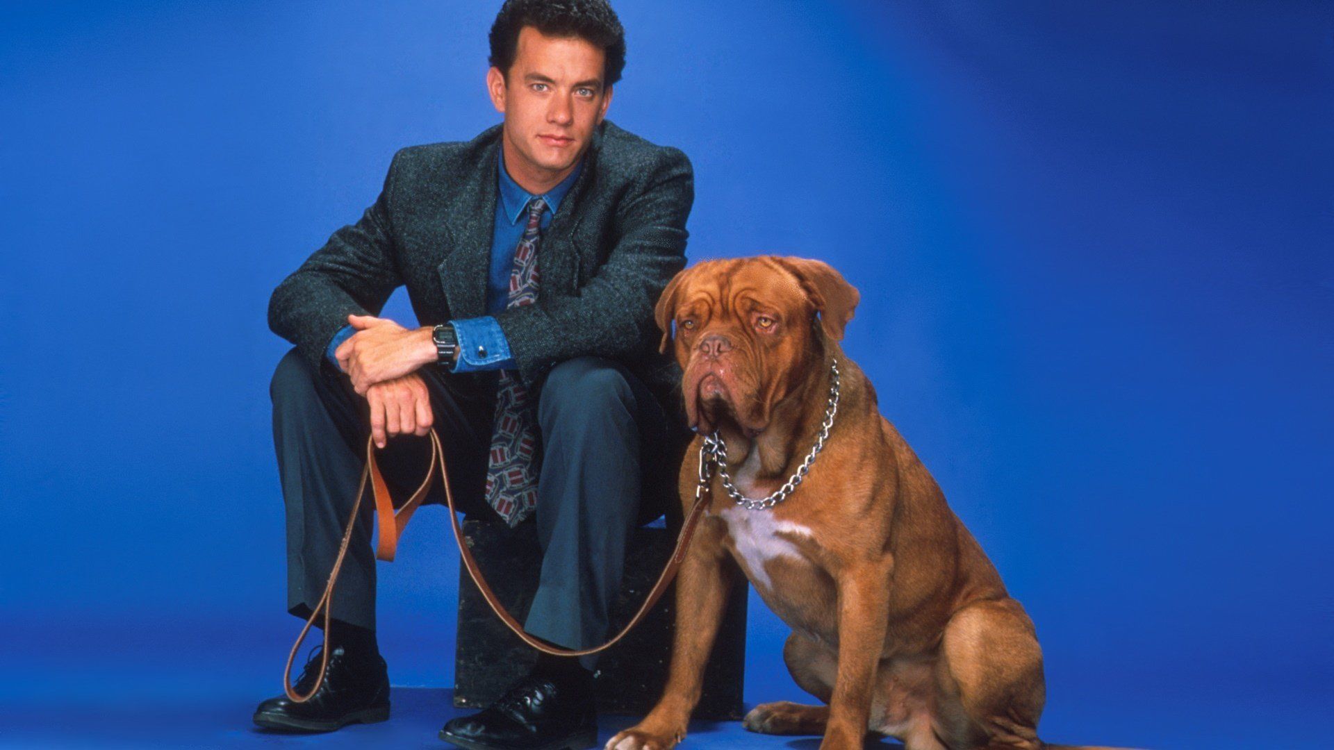 Turner and Hooch