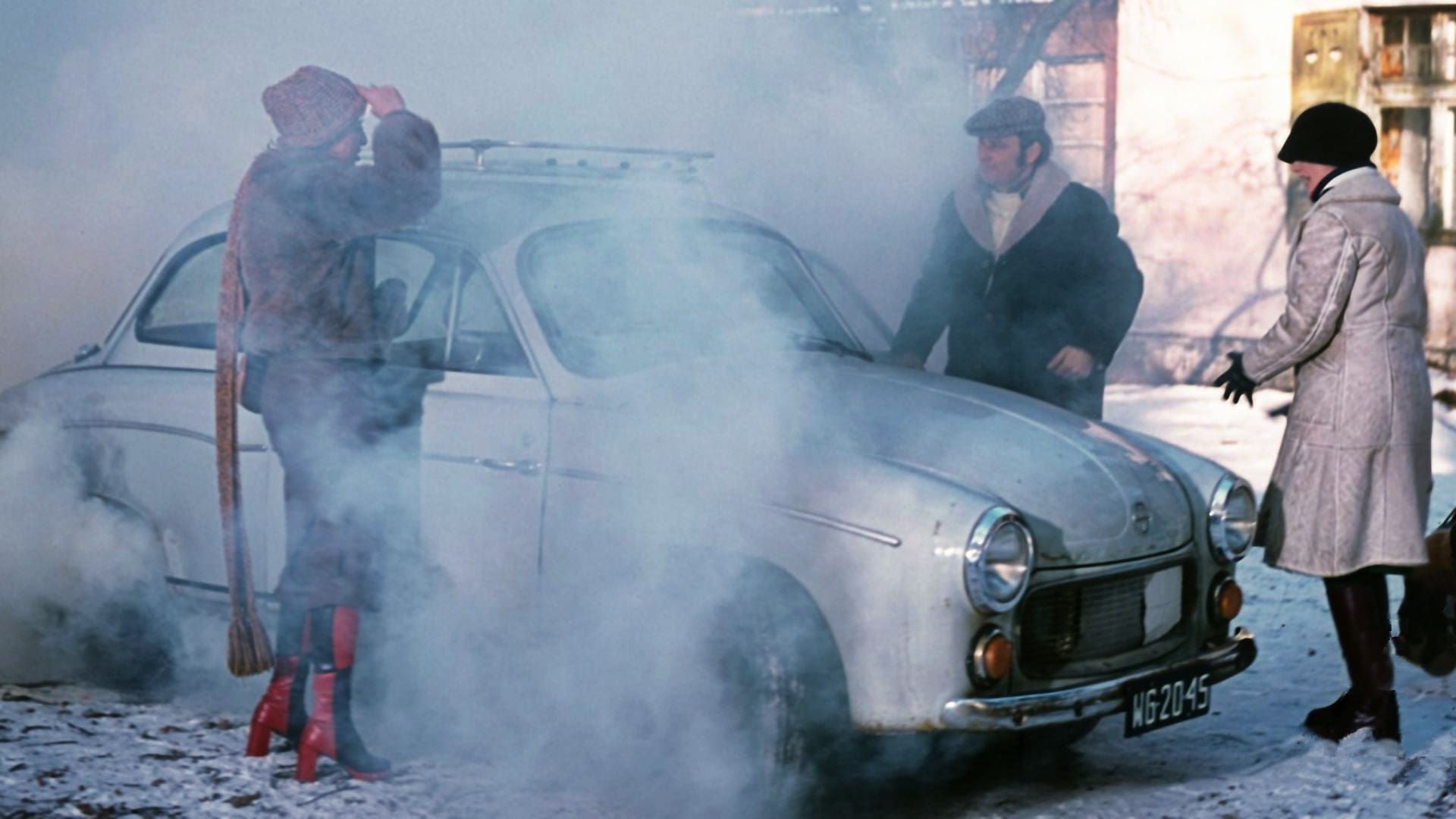 Brunet wieczorowa pora