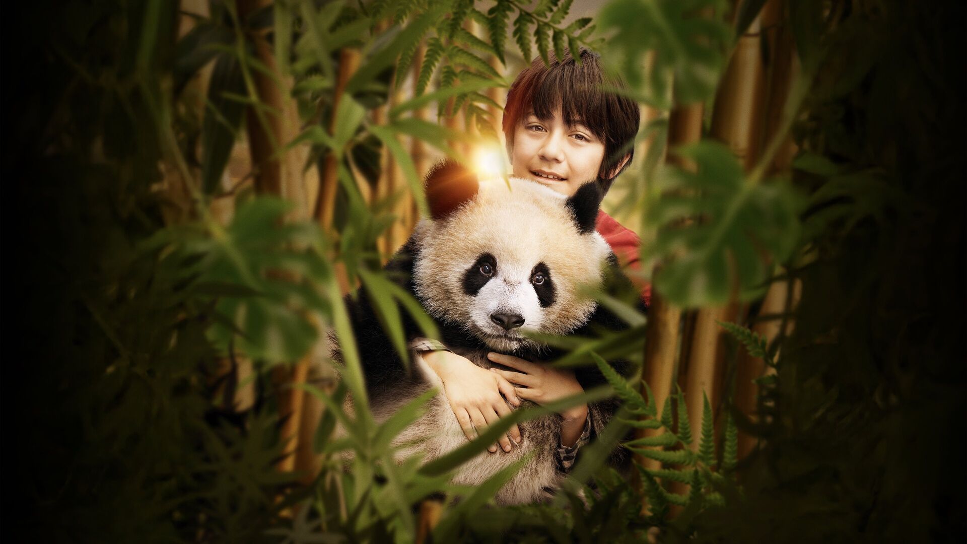 Moon le panda
