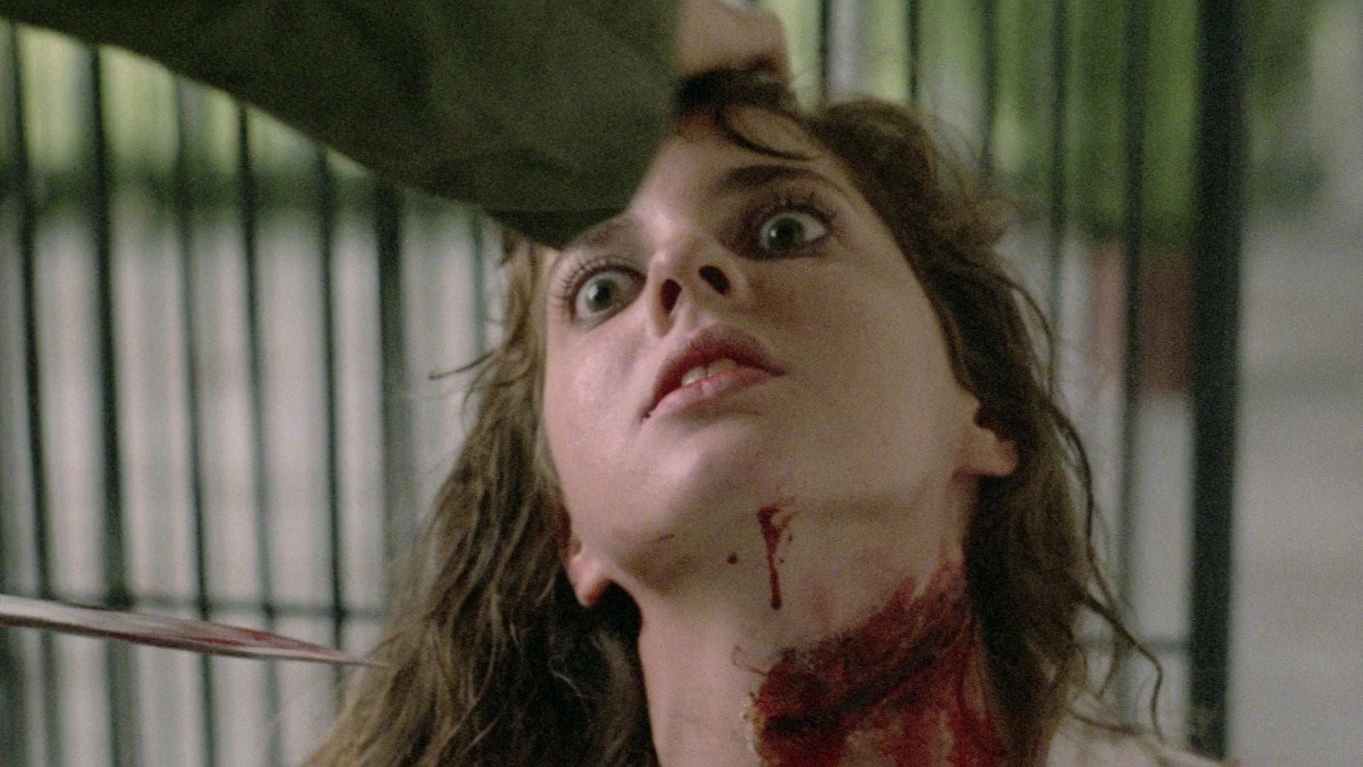 Zombie 5: Killing Birds