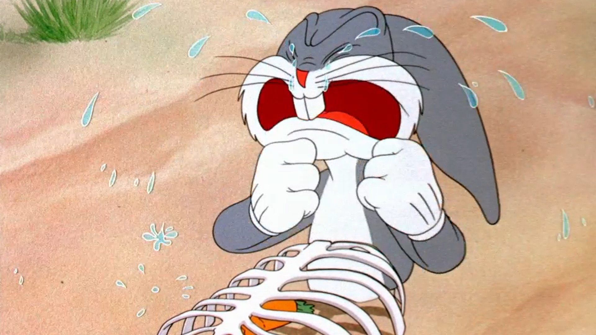 Bugs Bunny Gets the Boid