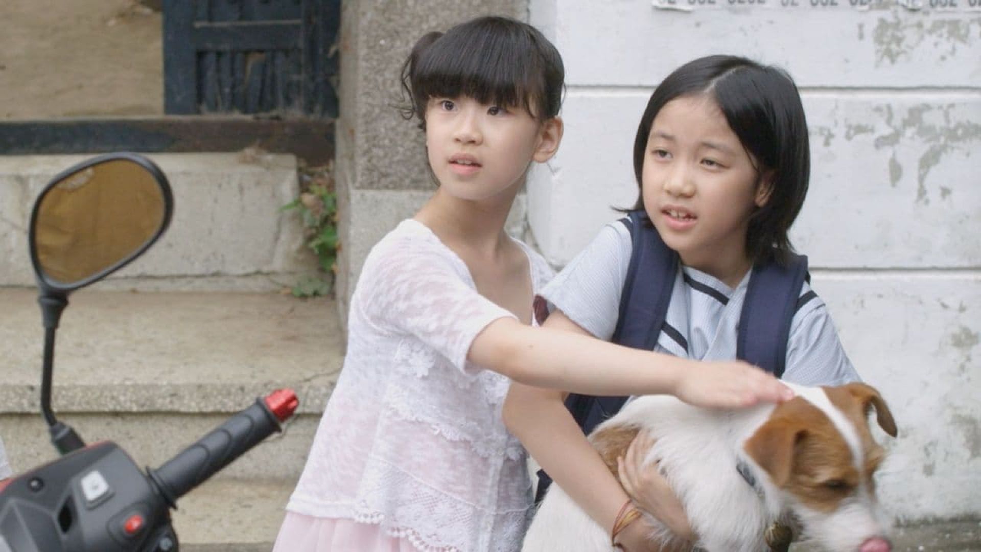 How to Steal a Dog (Gaeleul hoomchineun wanbyeokhan bangbeob)