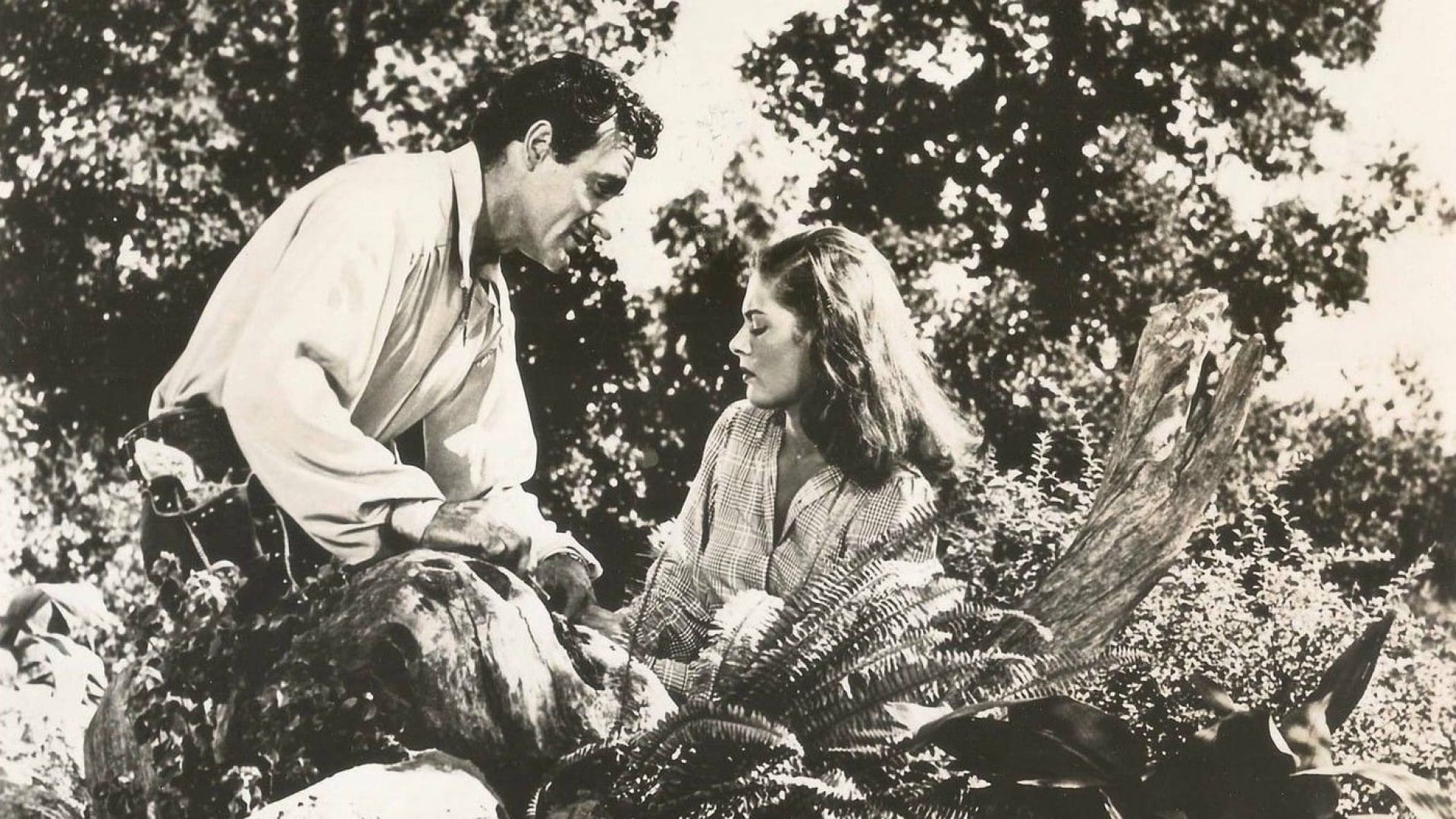 Beauty and the Bandit