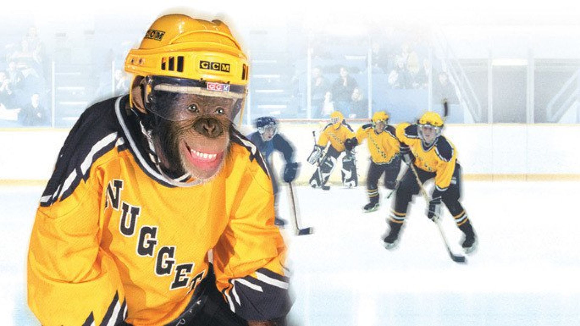 MVP: Most Valuable Primate