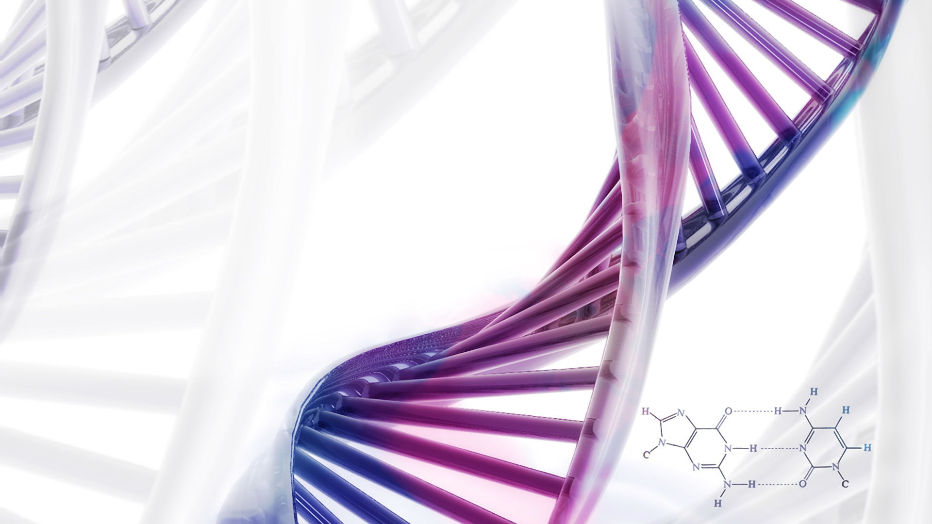 How to Build a Human