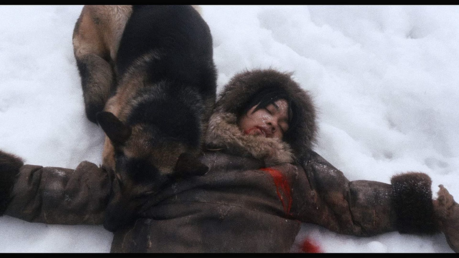 Challenge to White Fang