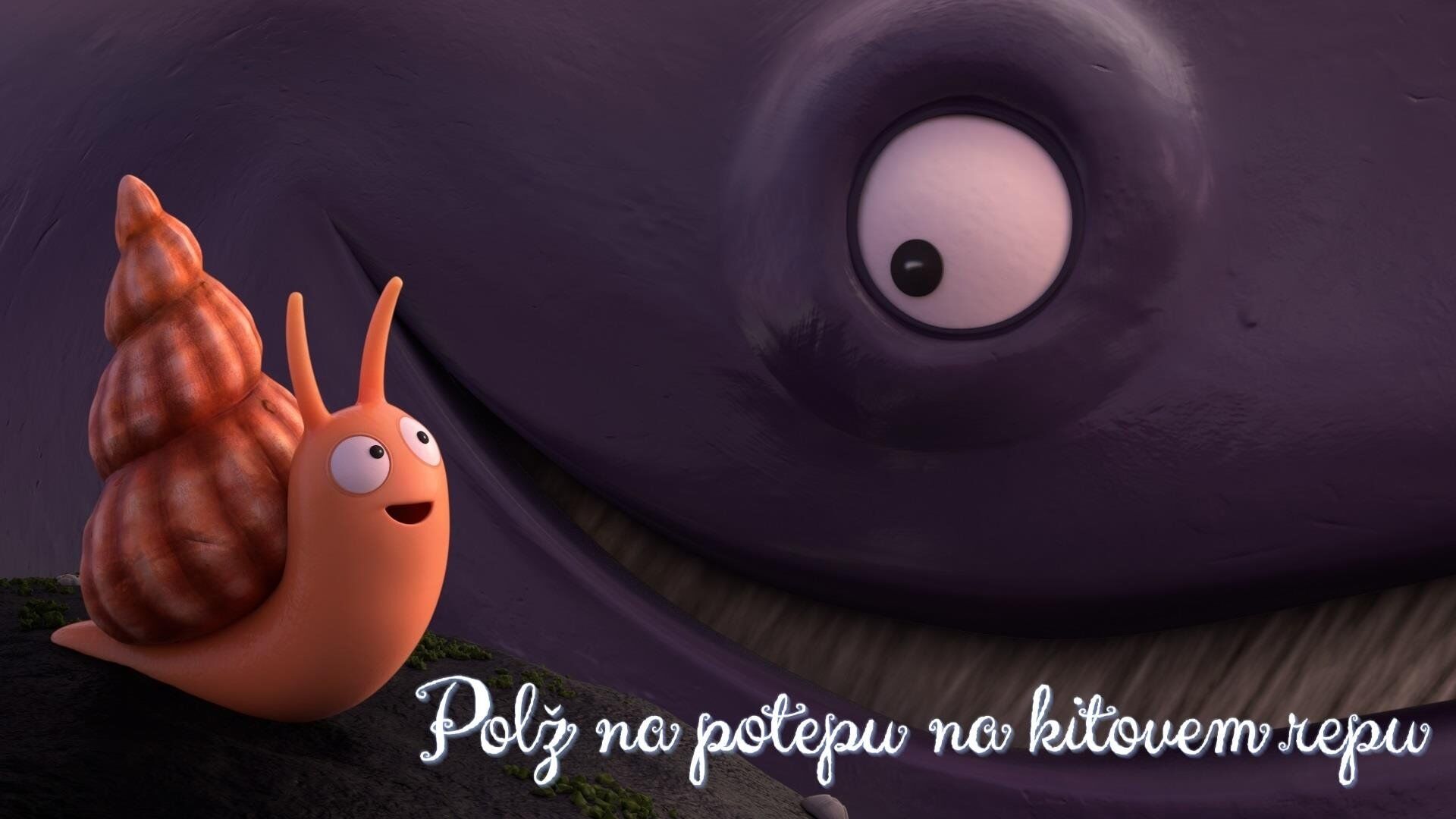 The Snail and the Whale