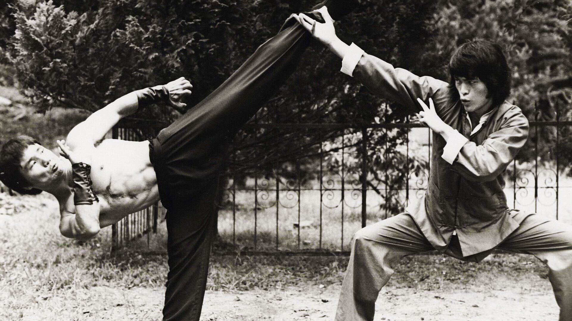 Game of Death II (Si wang ta)