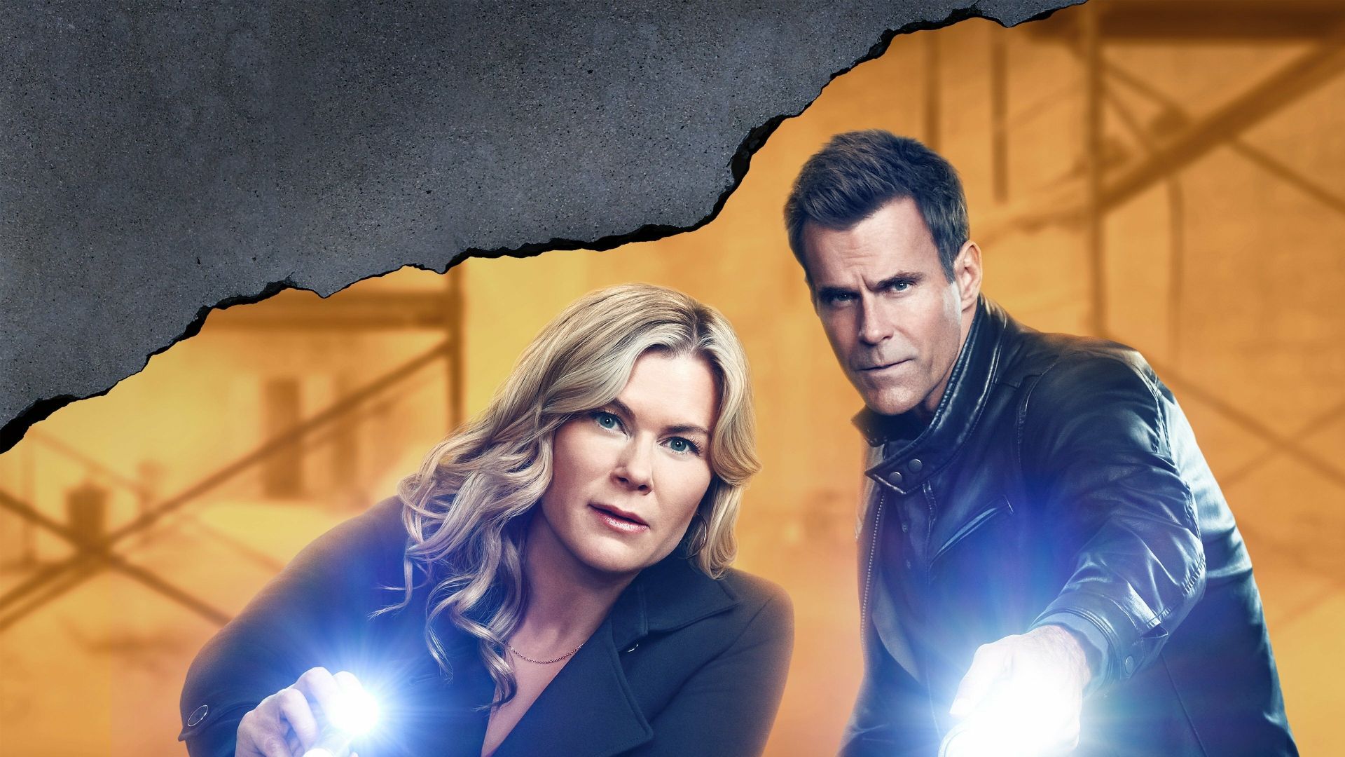 Carrot Cake Murder: A Hannah Swensen Mysteries