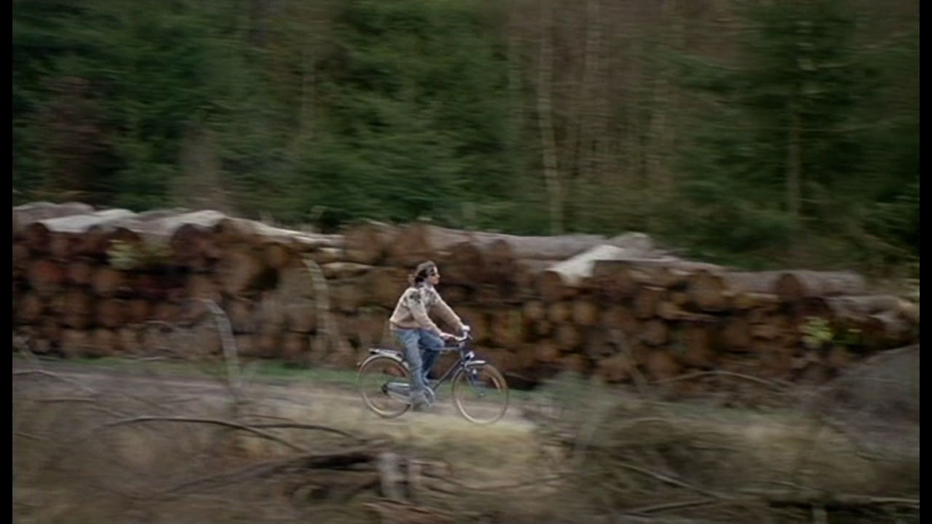 Montag kommen die Fenster