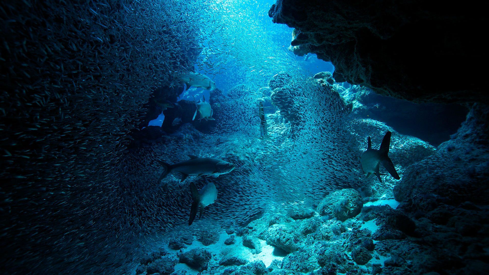 Atlantic: The Wildest Ocean on Earth