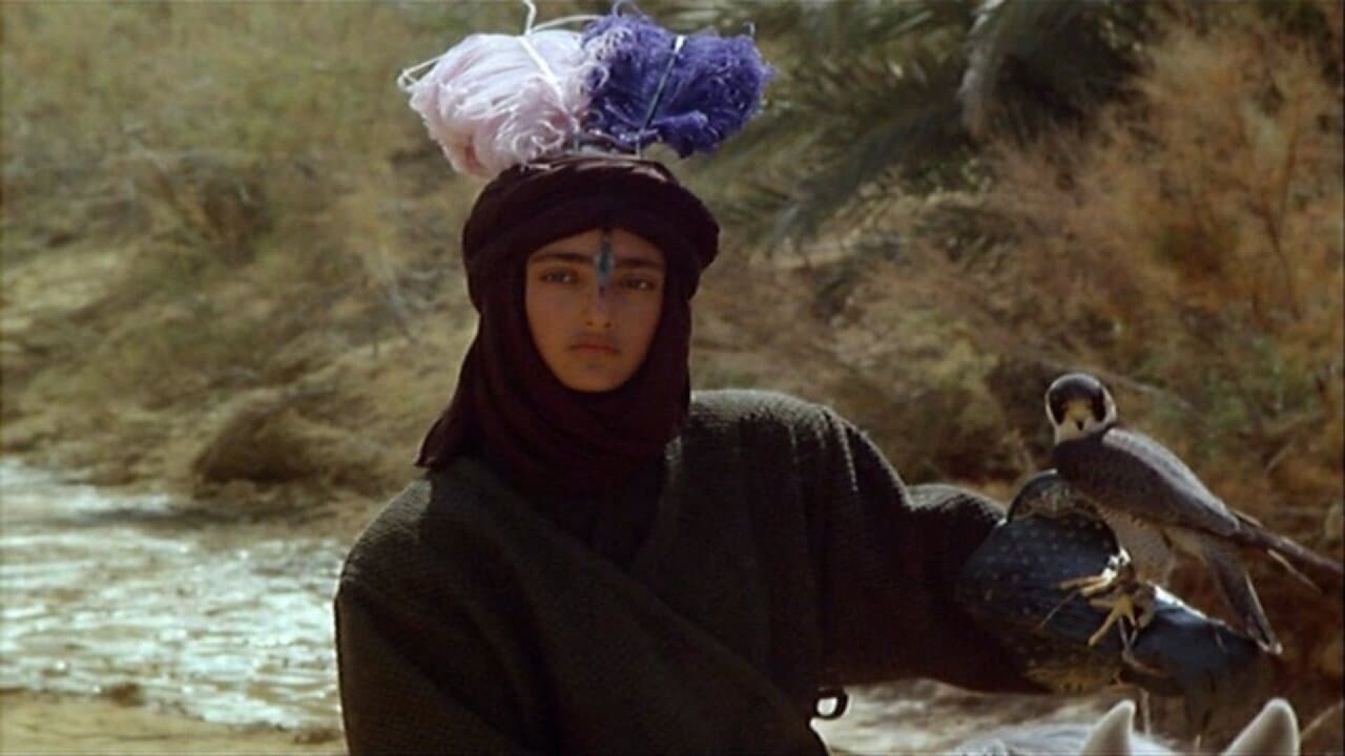 The Doves Lost Necklace