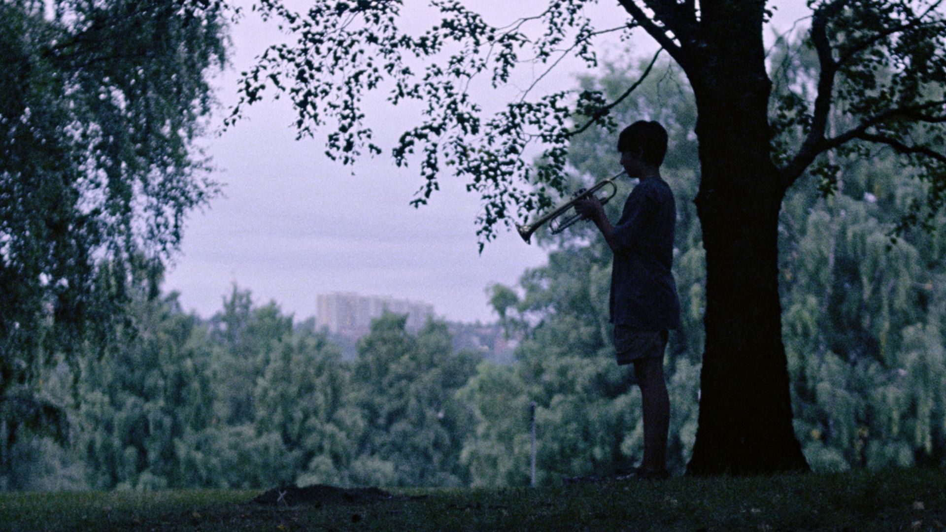 Handling the Undead (Håndtering av udøde)