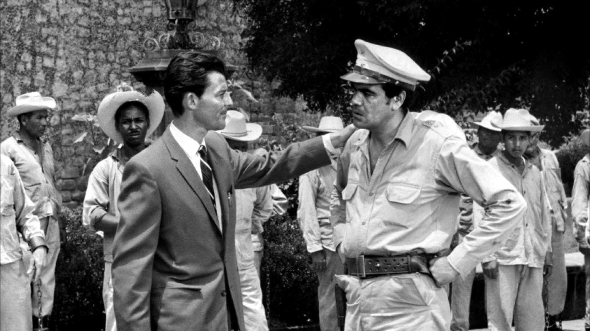 Fever Mounts at El Pao