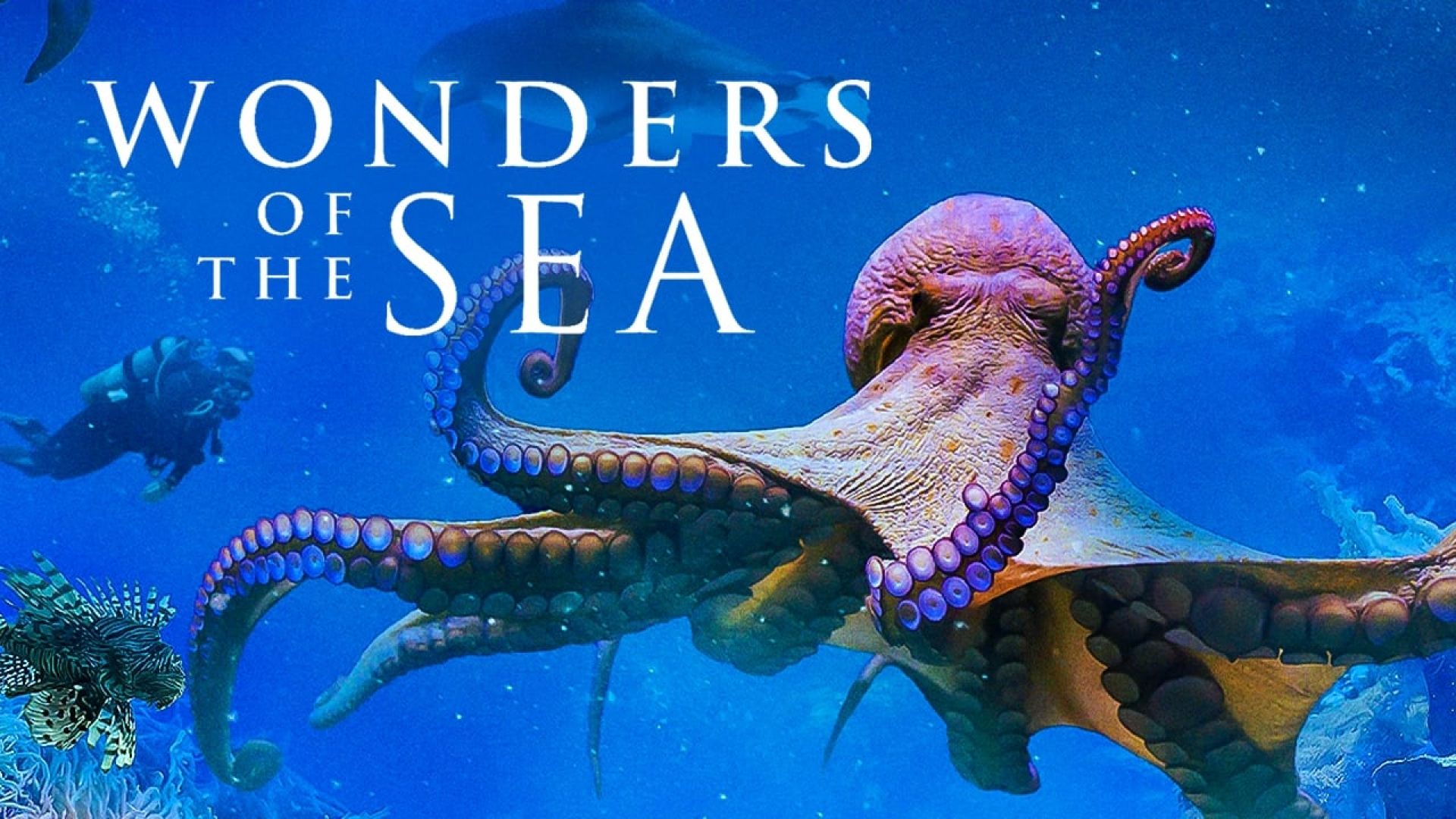 Wonders of the Sea (Wonders of the Sea 3D)