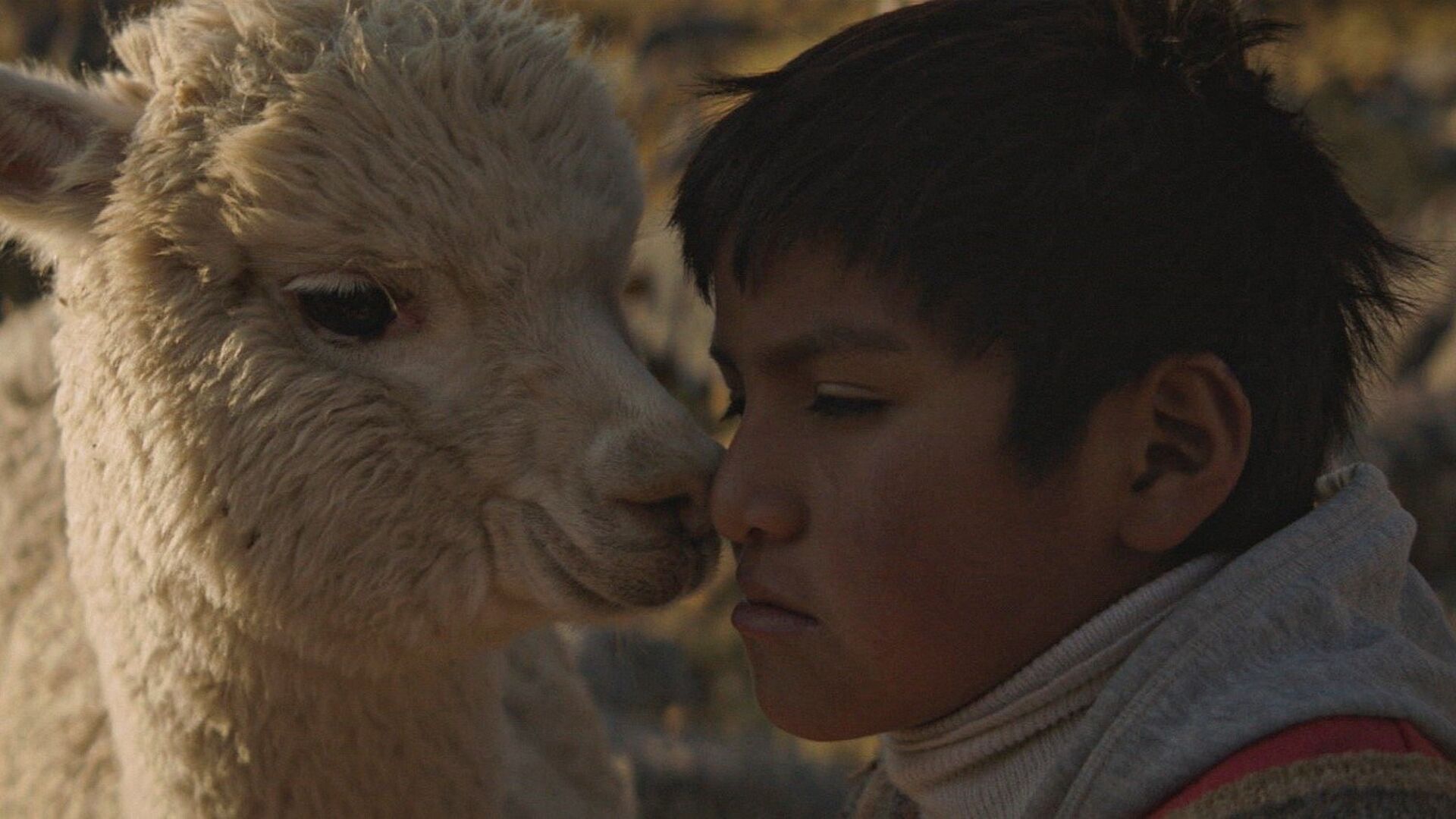 Through Rocks and Clouds (Raíz)