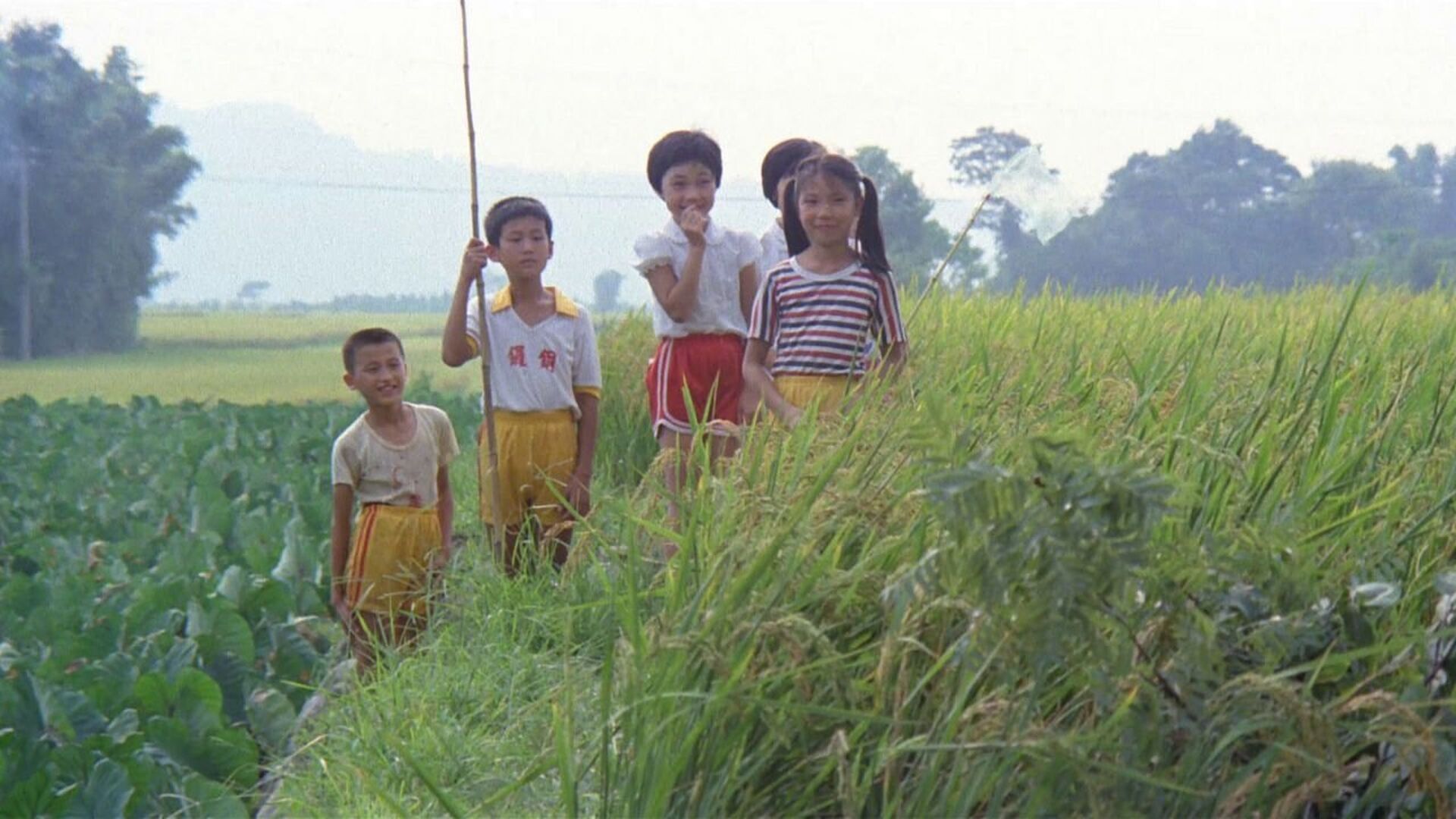 A Summer at Grandpas ( Dong dong de jiàqi)
