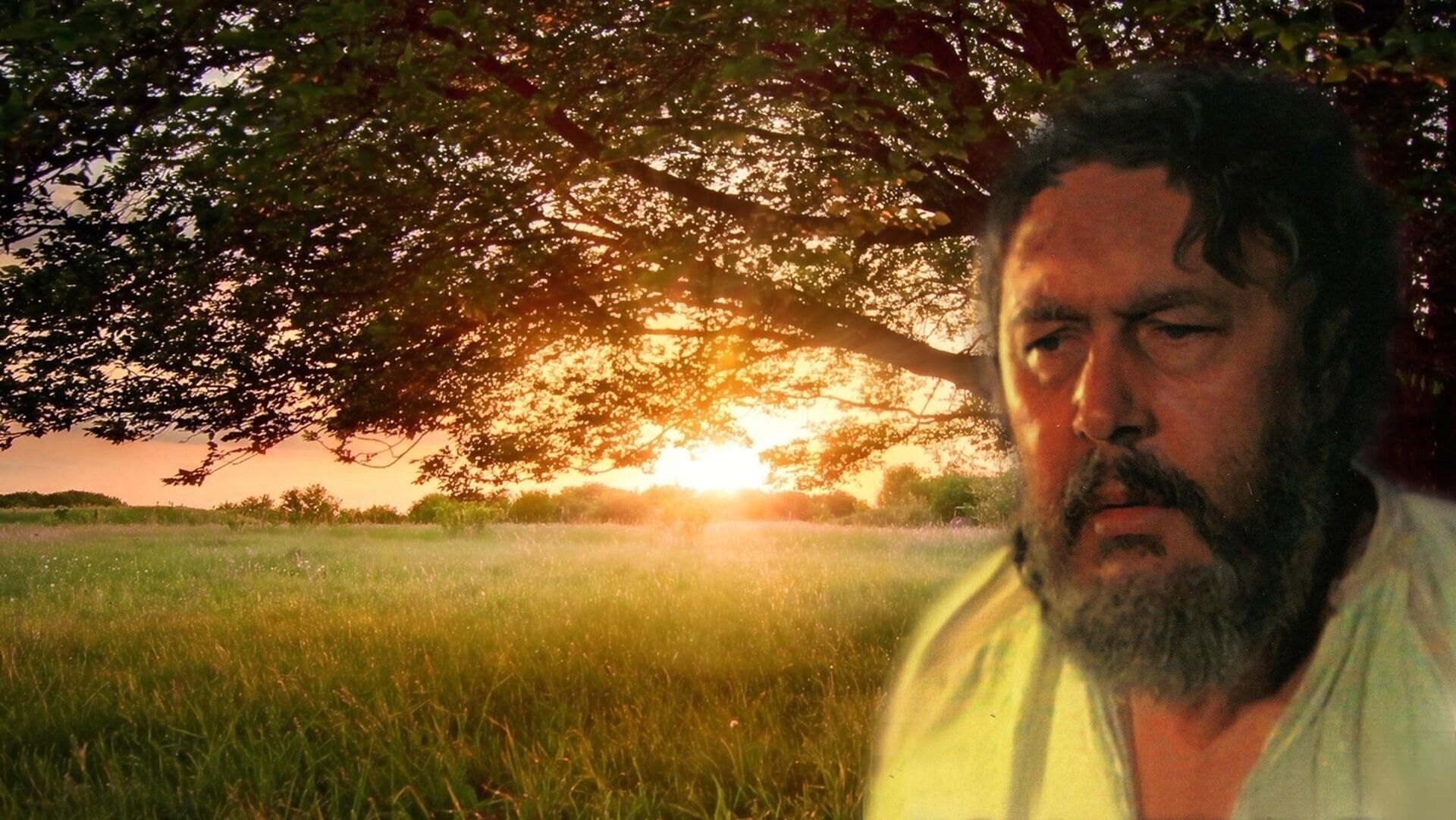 The Quack ( Znachor)