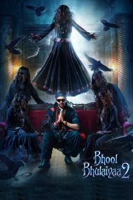 Bhool Bhulaiyaa 2 (2022)