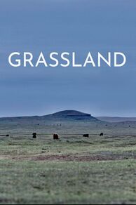 Grassland (2023)