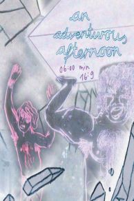 An Adventurous Afternoon (2013)