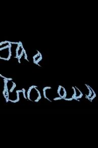 The Process (1972)