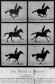 Sallie Gardner at a Gallop (1878)