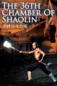 The 36th Chamber of Shaolin (1978)