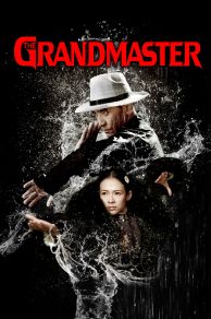 The Grandmaster (2013)