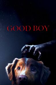 Good Boy (2025)