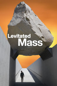 Levitated Mass (2013)