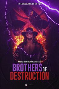 Brothers of Destruction (2020)
