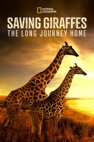 Saving Giraffes: The Long Journey Home (2022)