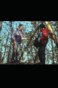 La cabale des oursins (1992)
