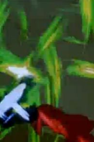 Glaze of Cathexis (1990)