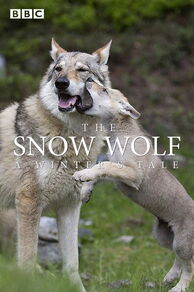 The Snow Wolf: A Winters Tale (2018)