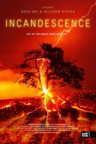 Incandescence (2024)