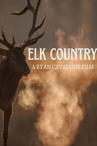 Elk Country (2025)