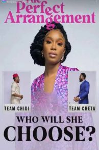 The Perfect Arrangement (2022)