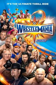 WrestleMania 33 (2017)