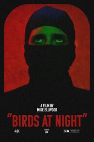 Birds at Night (2023)
