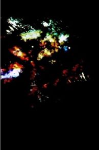 Study in Color and Black and White (1993)