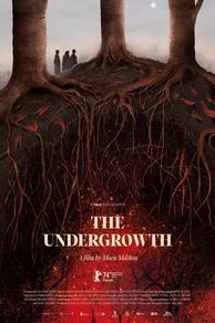 The Undergrowth (La hojarasca) (2024)