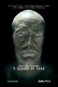 Chilling Visions: 5 Senses of Fear (2013)