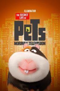 Norman Television  (2016)