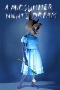 Julie Taymors A Midsummer Nights Dream (2014)