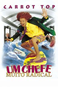 Chairman of the Board (1998)