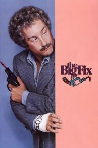 The Big Fix (1978)